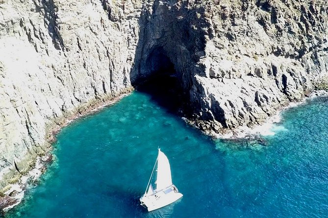Tenerife Whales and Dolphins Watching Experience in Catamaran - Anchoring at a cove for swimming and snorkeling