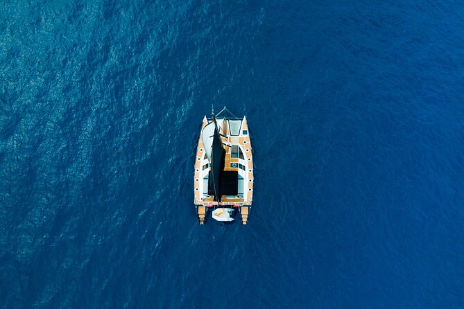 Tenerife Whales and Dolphins Watching Experience in Catamaran - Why the 12-person limit changes the value