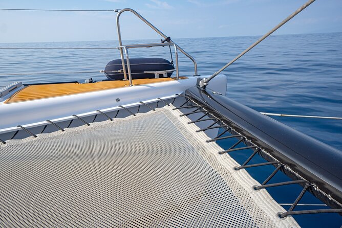 Tenerife Whales and Dolphins Watching Experience in Catamaran - Who will enjoy this catamaran trip most