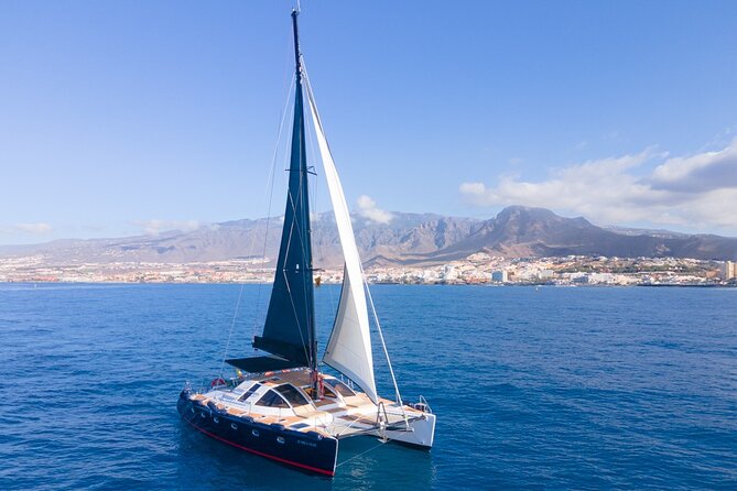 Tenerife Whales and Dolphins Watching Experience in Catamaran - Practical details for a smoother outing
