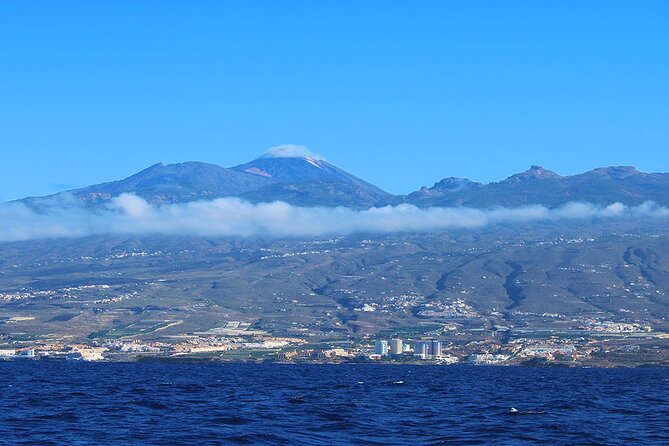 Tenerife Whales and Dolphins Watching Experience in Catamaran - What the south-coast views add to the trip