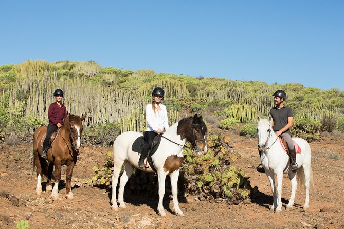 The Best Horse Riding Experience in Gran Canaria (2 hours) - Horses, staff, and safety