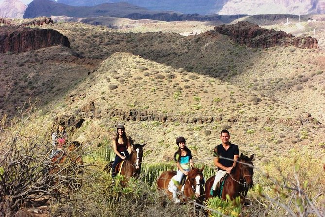 The Best Horse Riding Experience in Gran Canaria (2 hours) - Group size and the stop-start problem