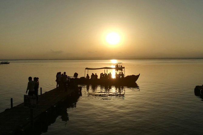 The Original Albufera Tour: Barraca, Boat Ride & Local Guide - El Palmar connects the park to local life
