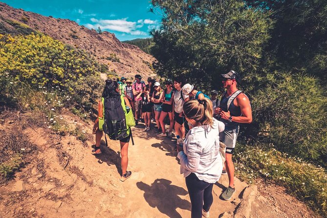 The Volcano Heart Tour: Hiking, Tasting and Sunset Experience - Cruz de Tejeda combines mountain views with local tastes