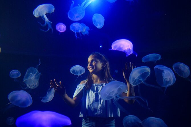 Ticket Palma Aquarium - Why families get more than an aquarium