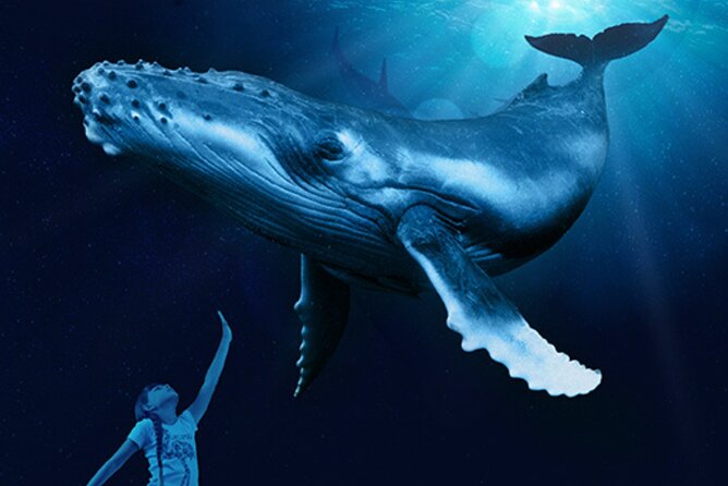 Ticket Palma Aquarium - Crowds, timing, and the best way to pace yourself