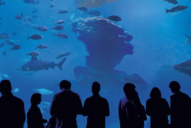 Ticket Palma Aquarium - Is $36.55 a fair price?