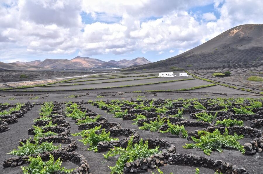Timanfaya And El Golfo For Cruise Passengers (Mornings) - Why Timanfaya makes this short tour worthwhile