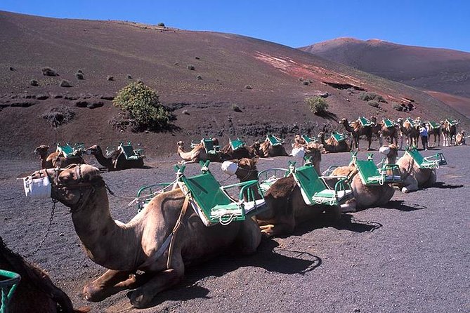 Timanfaya, Golfo, Jameos Agua & Camel Ride (opt) - Lanzarote - Views of La Corona Volcano and the road north