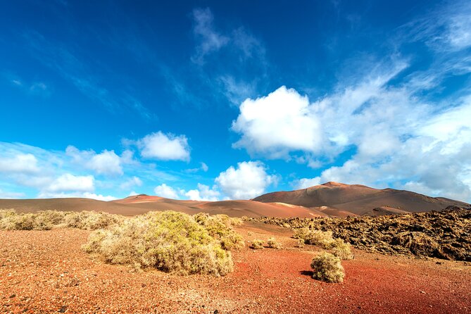 Timanfaya & Lanzarote Volcano Experience - A Coastal Ride Past Salt Works and Janubio