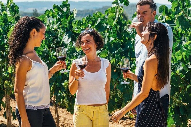 Toledo Tour & Vineyard Walk with Wine Tasting from Madrid - Meeting your guide in central Madrid