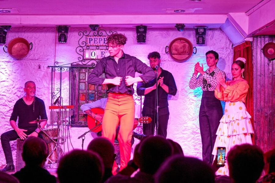 Torremolinos: Flamenco Show with Drinks - Practical details that can save frustration