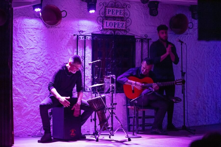 Torremolinos: Flamenco Show with Drinks - Should you book Pepe López Flamenco Taberna?