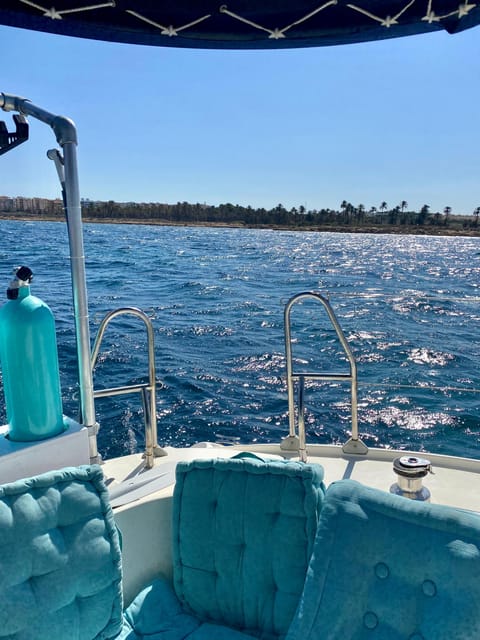 Torrevieja: Costa Blanca Catamaran Cruise - Who will enjoy this Torrevieja catamaran cruise?