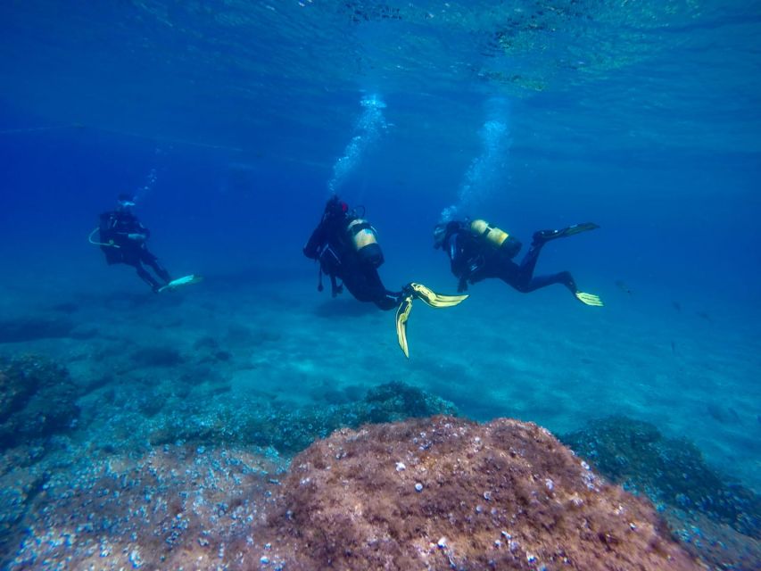 Tossa de Mar: Scuba Diving Experience for Beginners - What the three-hour Tossa de Mar experience feels like