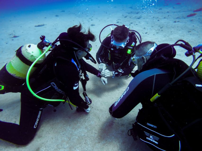 Tossa de Mar: Scuba Diving Experience for Beginners - The return to the center and SSI recognition