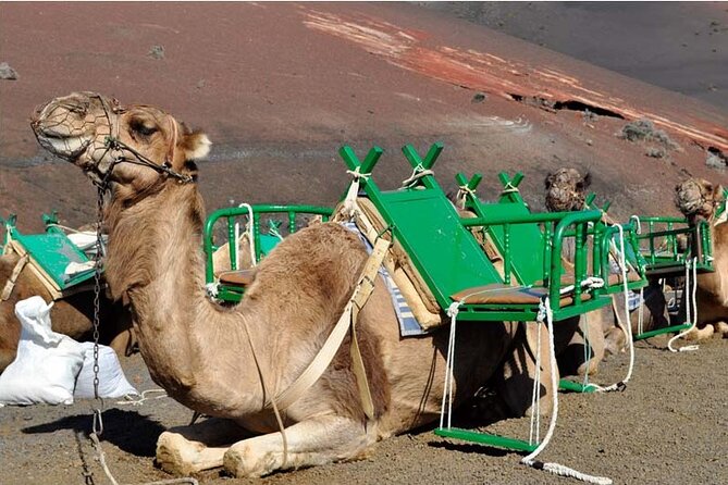 Tour to Timanfaya, Jameos del Agua, Cueva de los Verdes and viewpoint from the cliff - Guinate gives you La Graciosa from above