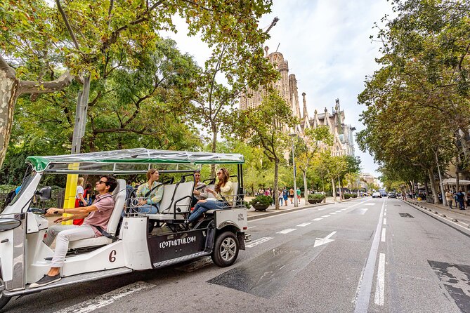 Tour Welcome Barcelona with Local Guide in Eco Tuk Tuk Private - Montjuïc and the best high views