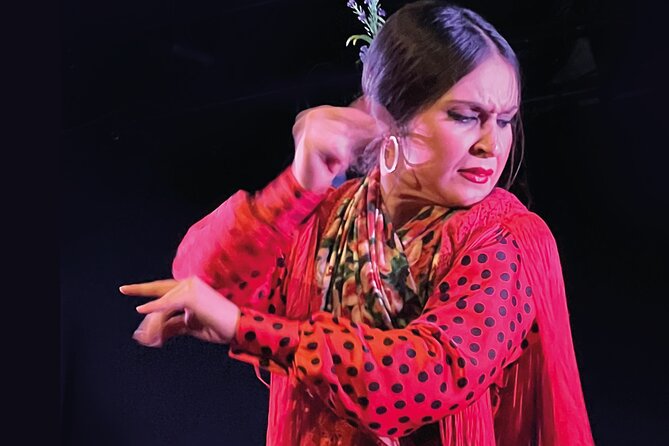 Traditional Flamenco Show at Tablao Casa Ana - A good first flamenco performance in Granada