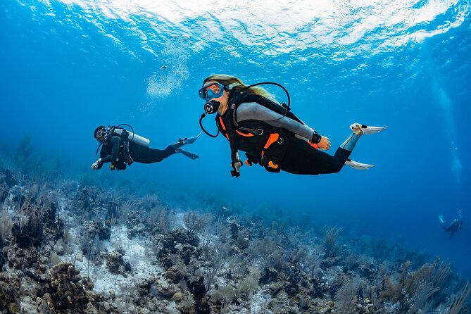 Try Dive - PADI Discover Scuba Diving in Tenerife - What happens before you enter the water