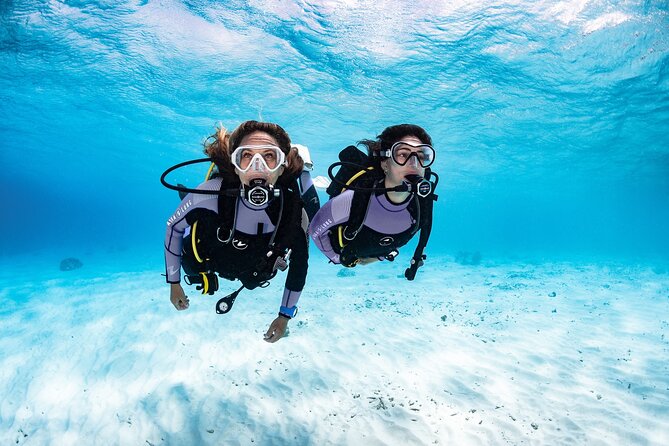 Try Dive - PADI Discover Scuba Diving in Tenerife - Why the instructors matter