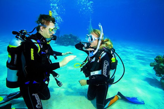 Try Dive - PADI Discover Scuba Diving in Tenerife - Who will enjoy this most