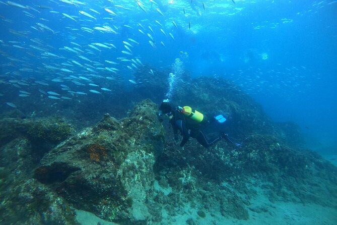 Try Scuba Diving with 2 Ocean Dives - Why two ocean sessions make this a good first try