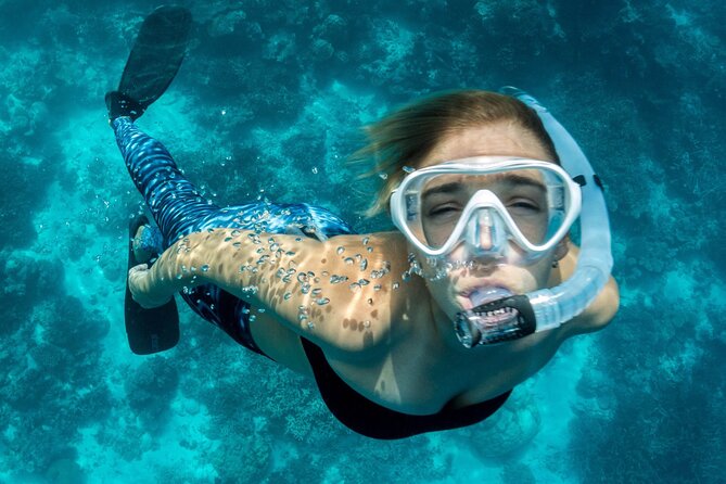 Uncharted Marine Reserve Cave, Snorkel & Cliff Jumping Kayak Tour - Cala Tango and the Choice to Jump