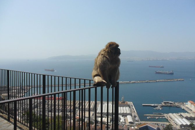 Upper Rock Walking Tour - Price, admission, and what the small group is worth