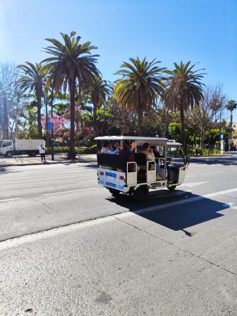 Valencia: 2-hour City Highlights Guided Tuk-Tuk Tour - Weather, comfort, and practical limits