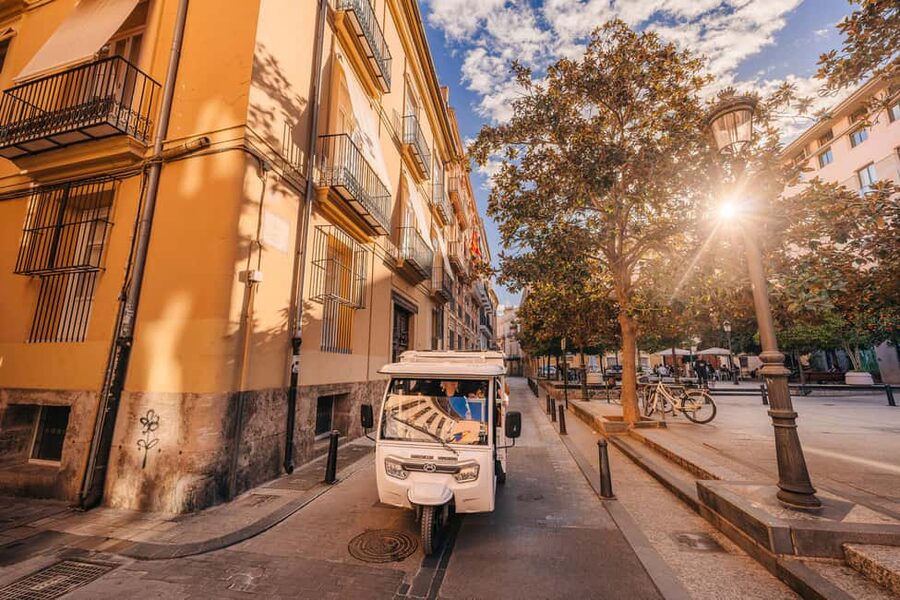Valencia: 2-hour City Highlights Guided Tuk-Tuk Tour - Puerta del Mar, the Flower Bridge, and Mestalla Stadium