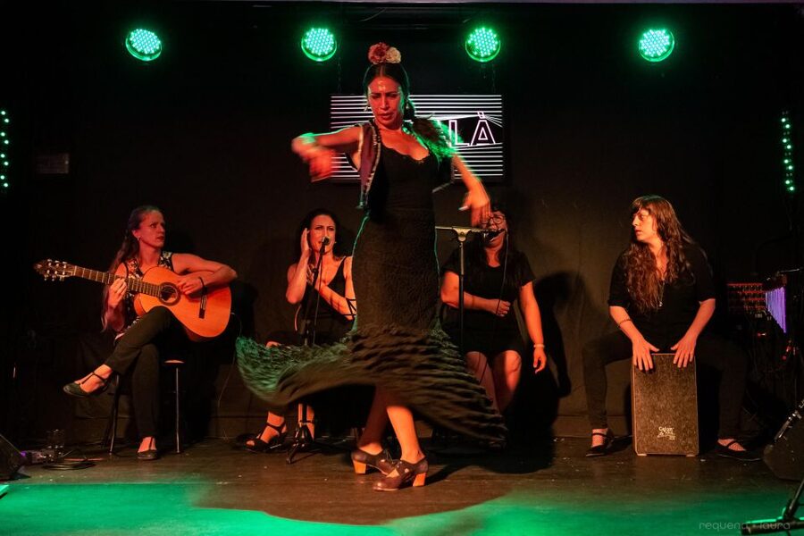 Valencia: Authentic Flamenco Show Entry Ticket - Flamenco in the heart of Valencia