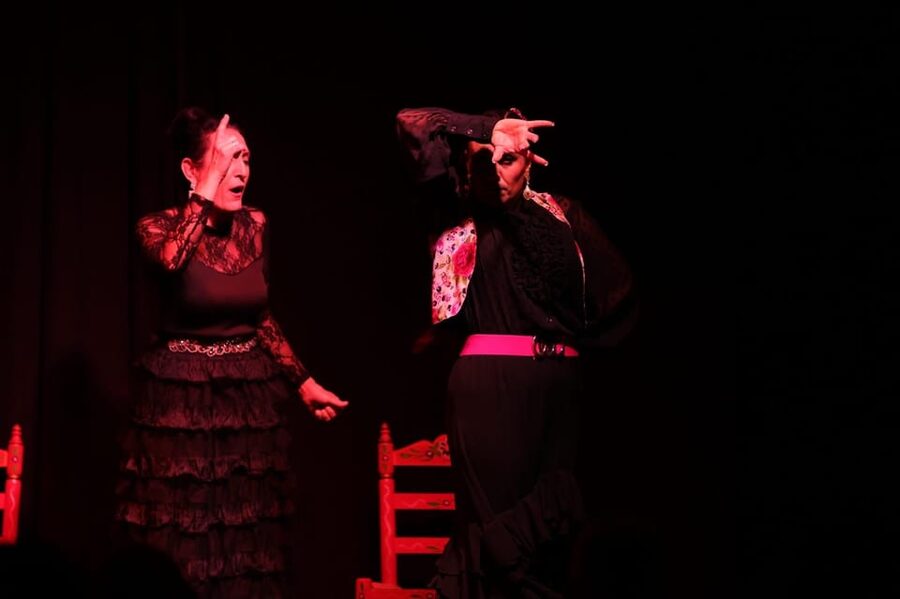 Valencia: Authentic Flamenco Show Entry Ticket - Why Ca Revolta changes the mood