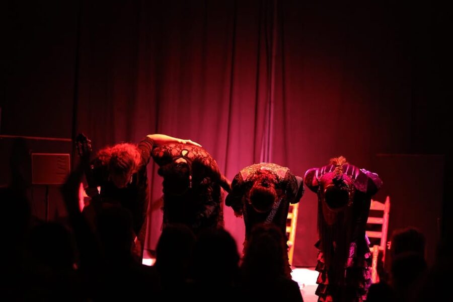 Valencia: Authentic Flamenco Show Entry Ticket - The atmosphere: close, direct, and sometimes informal