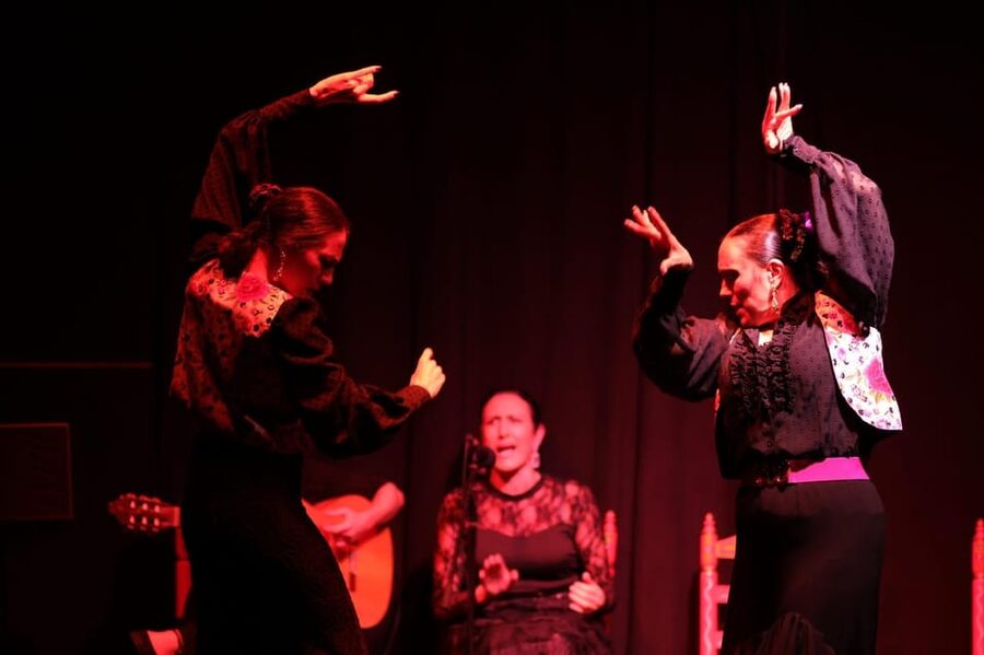 Valencia: Authentic Flamenco Show Entry Ticket - Final call: book it for closeness and feeling
