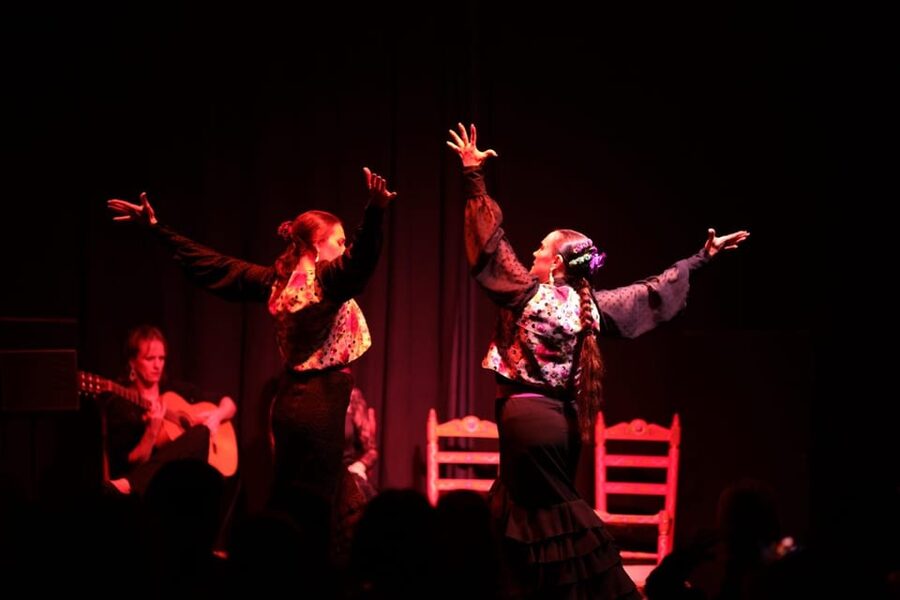 Valencia: Authentic Flamenco Show Entry Ticket - What the one-hour show includes