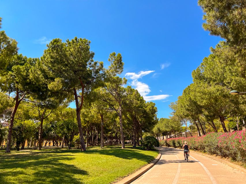 Valencia Bike Tours: City Highlights - The Old City: markets, churches, and medieval walls