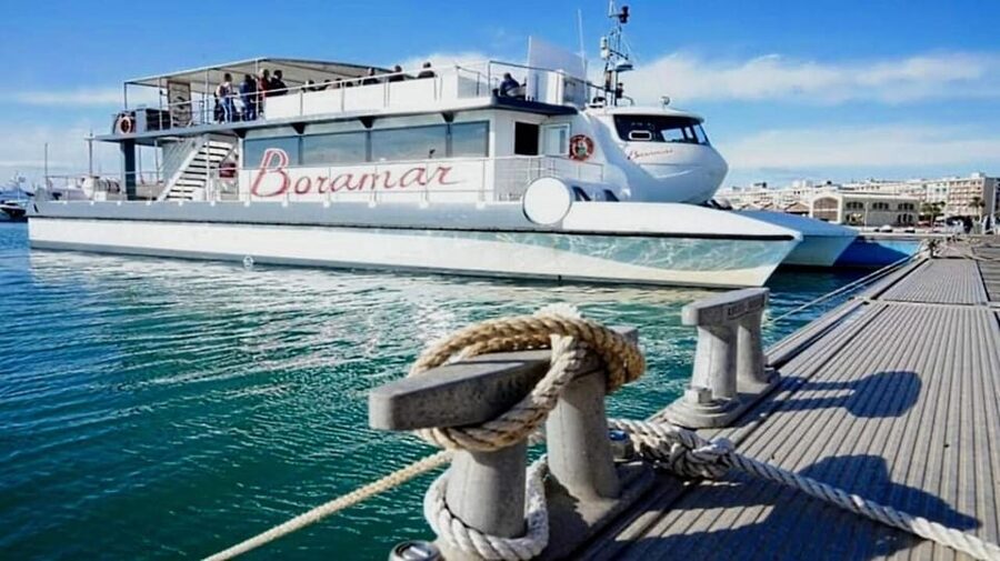 Valencia: Catamaran Cruise, Paella Lunch and Swim Stop - What the $41 price really covers