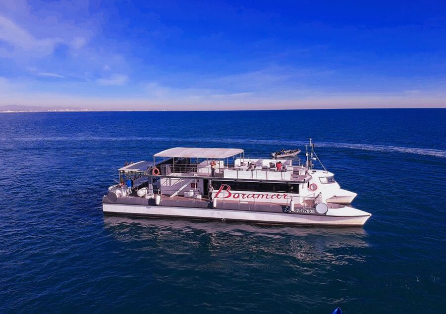 Valencia: Catamaran Cruise with Stop for Swimming - What the catamaran ride is really like