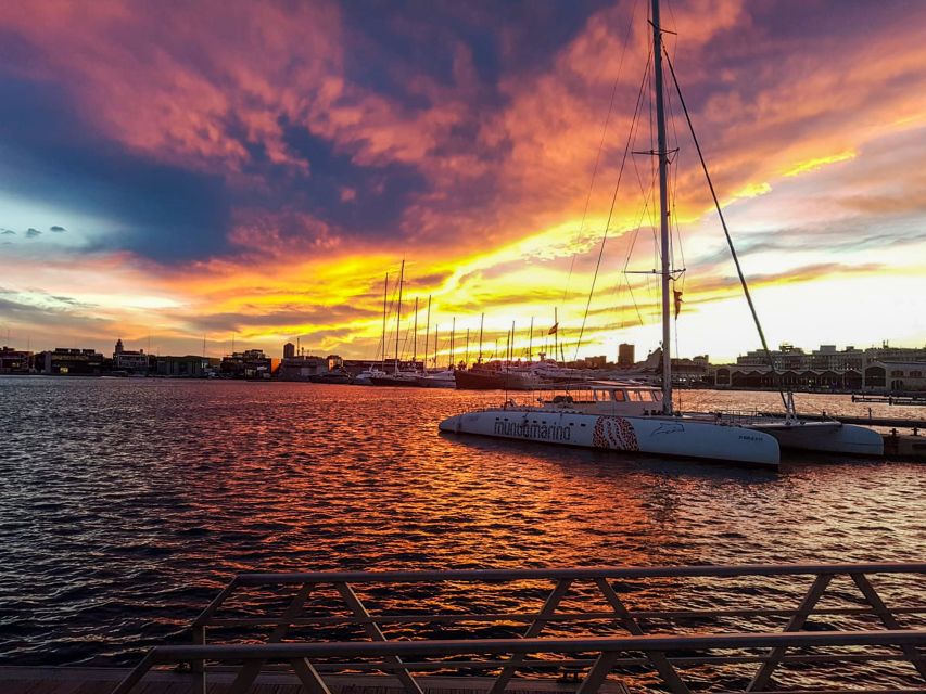 Valencia: Catamaran Cruise with Sunset Option - Daytime cruise or sunset cruise?
