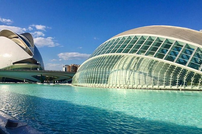 Valencia City Excursion - From Albir, Benidorm & Calpe - Choosing between Oceanografic and Mestalla