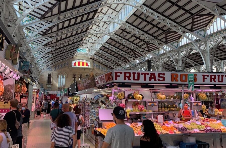 Valencia City Excursion - From Albir, Benidorm & Calpe - How much can you really see in five hours?