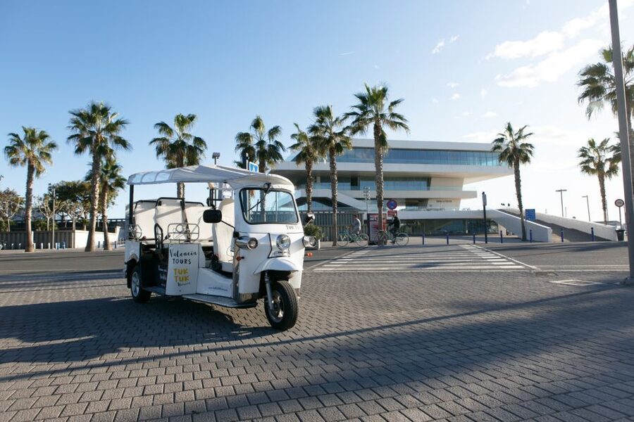 Valencia: Complete Tuk-Tuk Tour Around the City - Why a tuk-tuk works well in Valencia