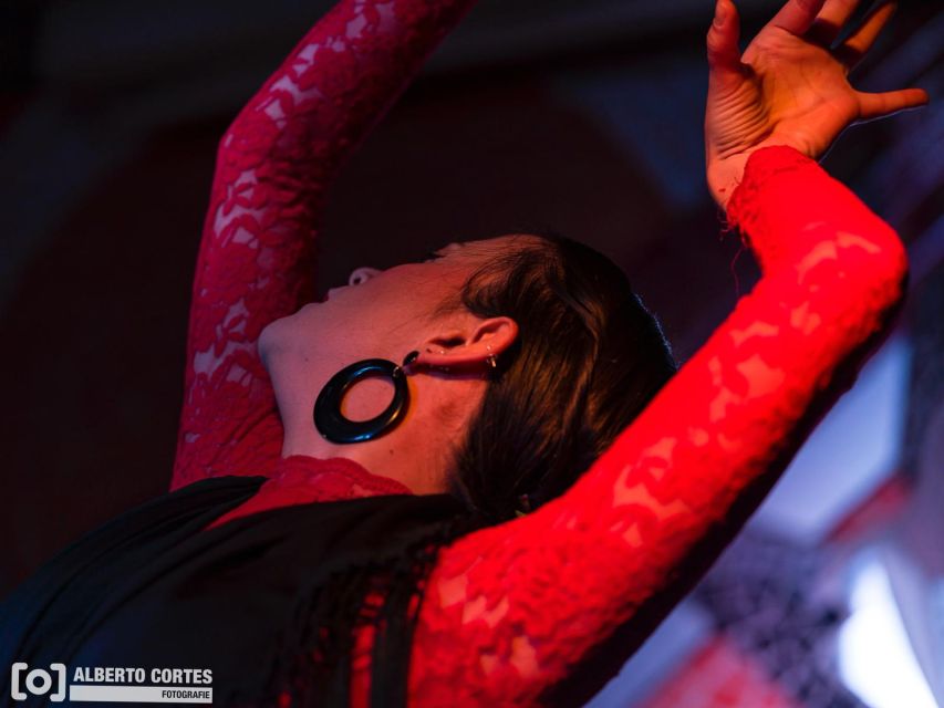 Valencia: Flamenco at Toro y La Luna with optional Dinner - Key points to know before booking