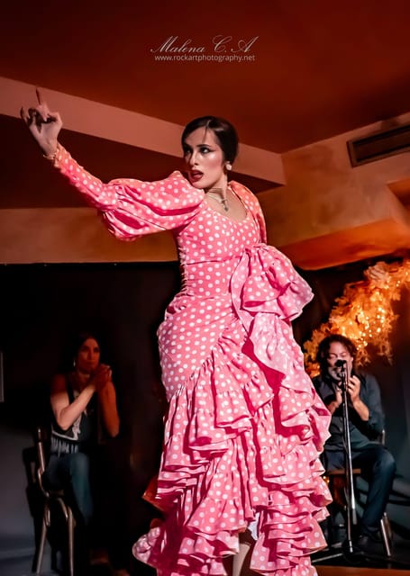 Valencia: Flamenco Show at Tablao La Reina - Who should book this experience?
