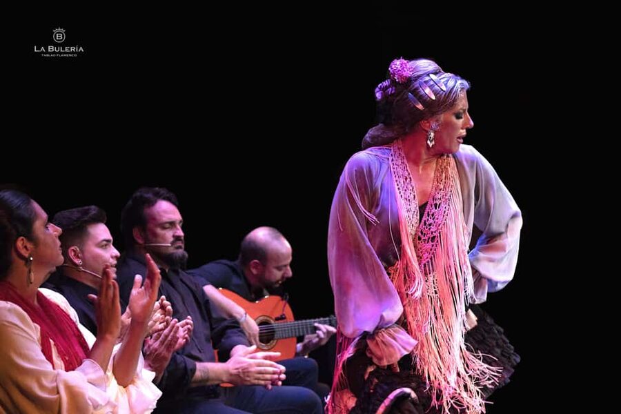 Valencia: Flamenco Show with Dinner at La Bulería - Who will enjoy this Valencia experience