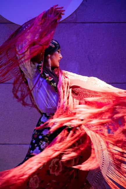 Valencia: La Linterna Flamenco Show - A focused flamenco night in Ciutat Vella