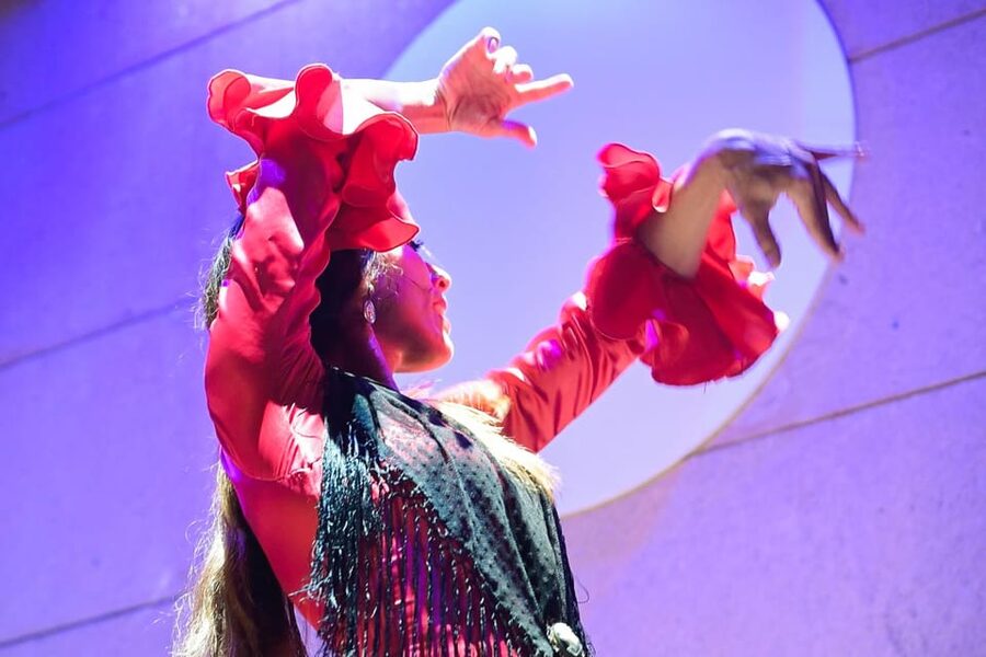 Valencia: La Linterna Flamenco Show - The artists and the changing program