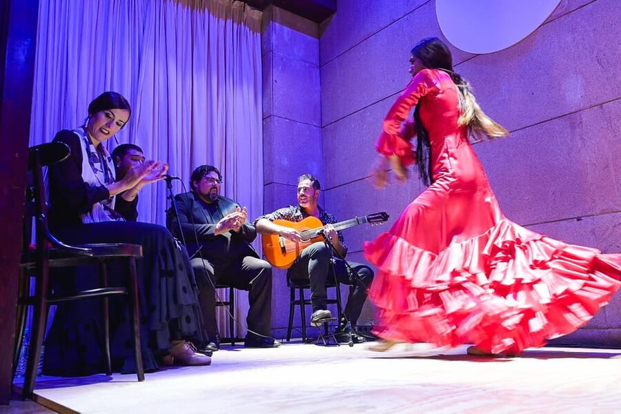 Valencia: La Linterna Flamenco Show - Is $25 good value?